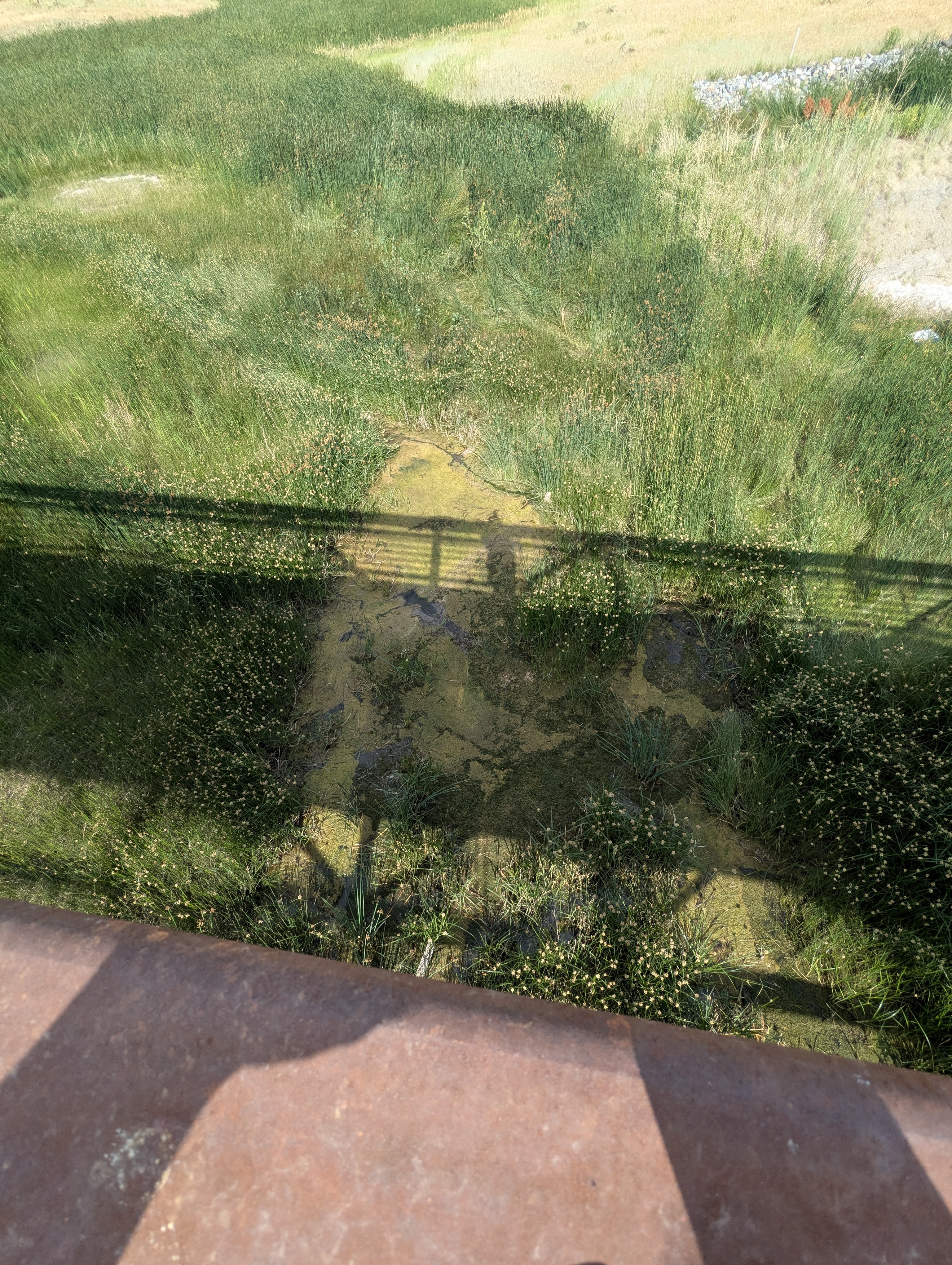 park, Morrison, Colorado